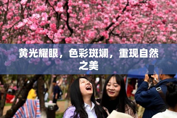 黄光耀眼，色彩斑斓，重现自然之美