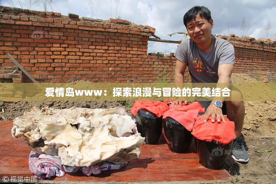 爱情岛www：探索浪漫与冒险的完美结合