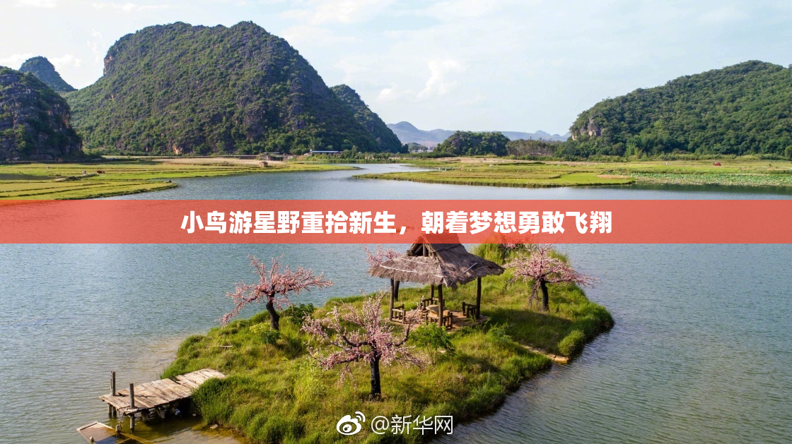 小鸟游星野重拾新生，朝着梦想勇敢飞翔