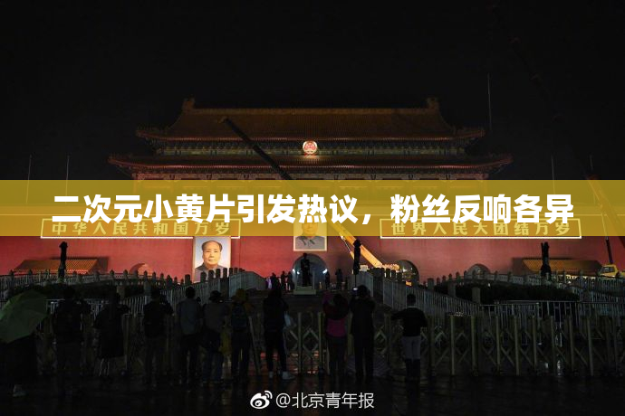 二次元小黄片引发热议，粉丝反响各异