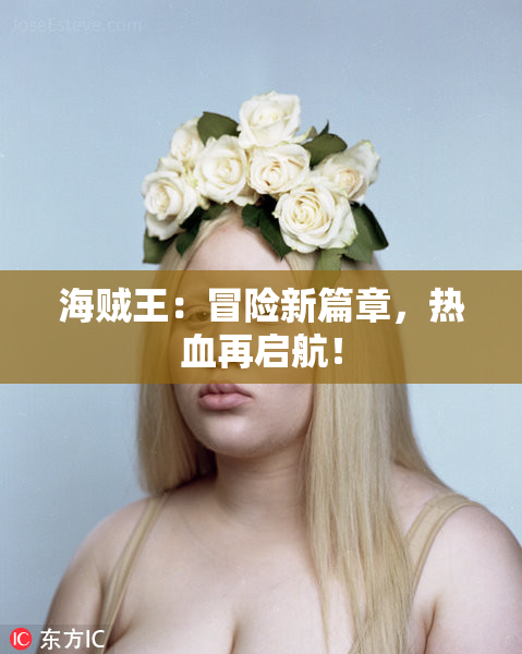 海贼王：冒险新篇章，热血再启航！