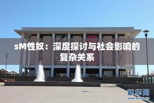 sM性奴：深度探讨与社会影响的复杂关系