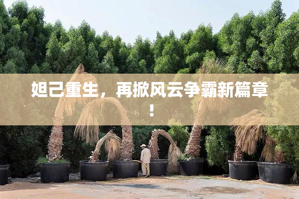 妲己重生，再掀风云争霸新篇章！
