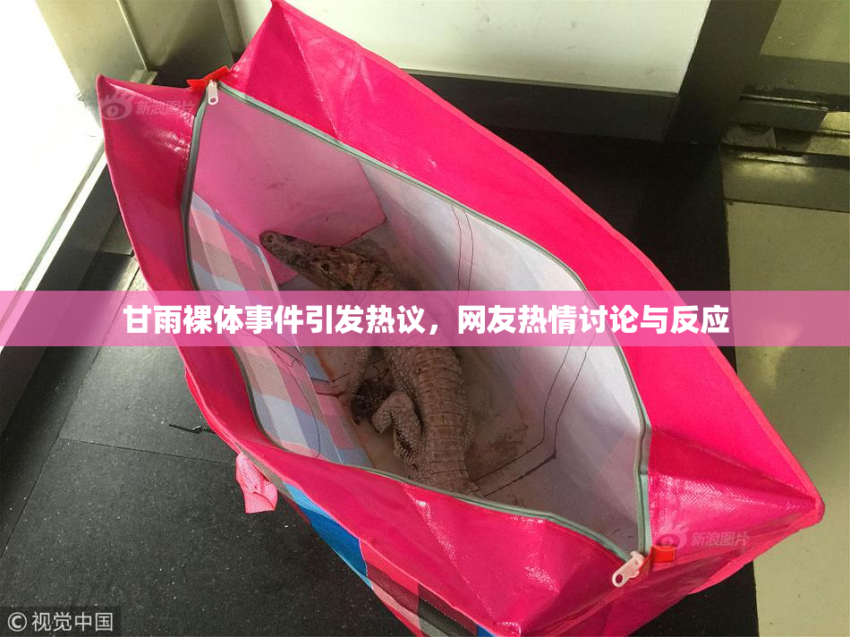 甘雨裸体事件引发热议，网友热情讨论与反应