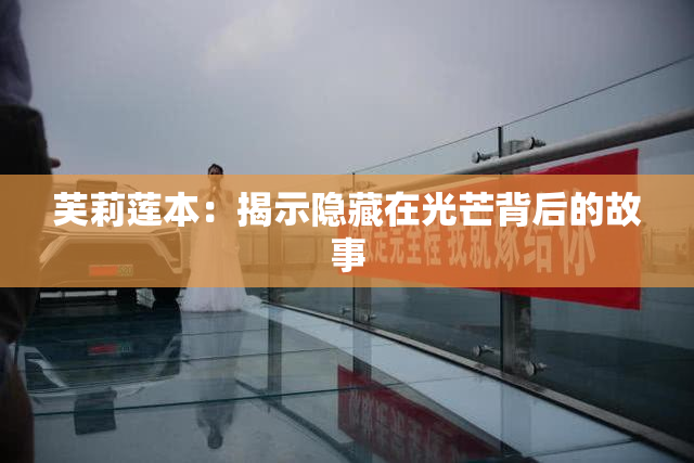 芙莉莲本：揭示隐藏在光芒背后的故事