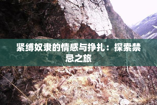 紧缚奴隶的情感与挣扎：探索禁忌之旅