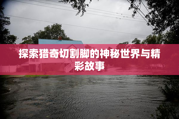 探索猎奇切割脚的神秘世界与精彩故事