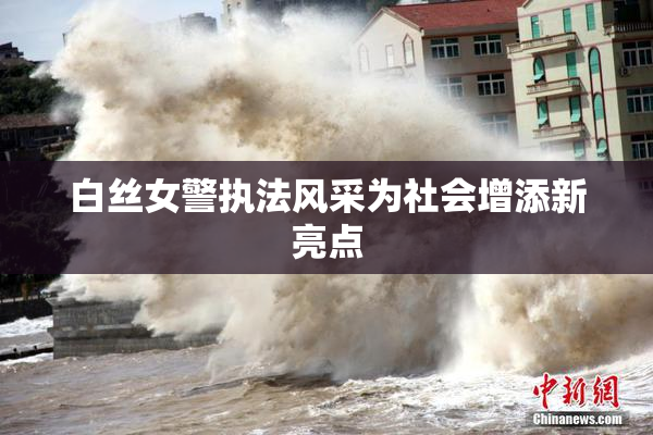 白丝女警执法风采为社会增添新亮点