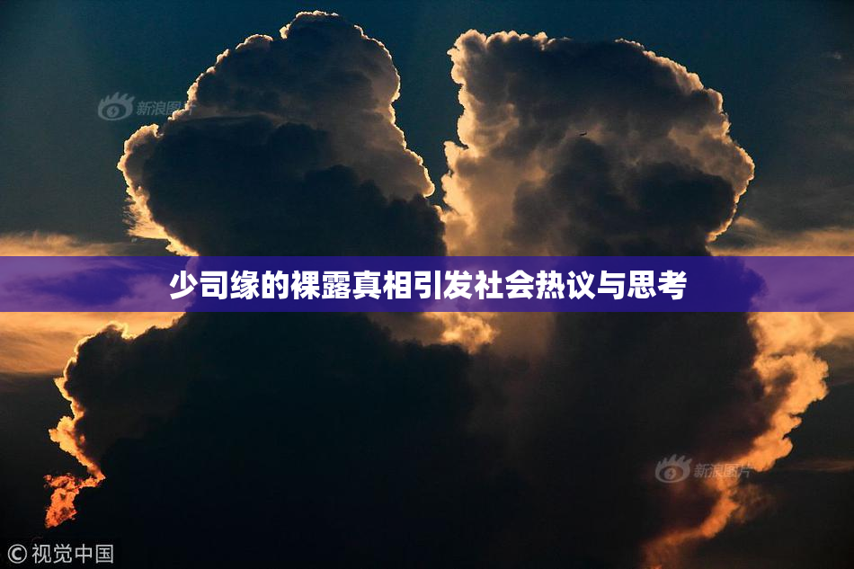 少司缘的裸露真相引发社会热议与思考