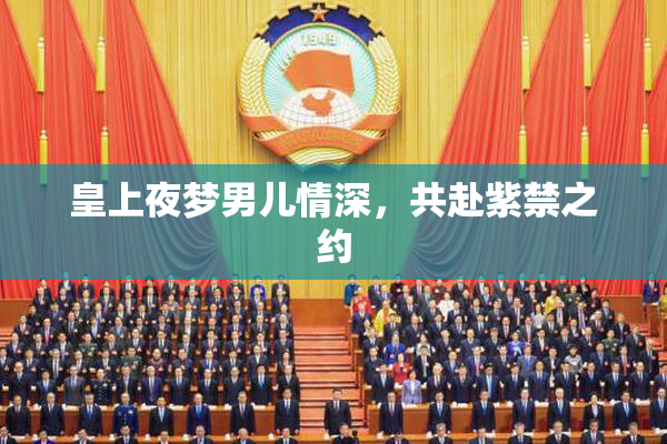 皇上夜梦男儿情深，共赴紫禁之约