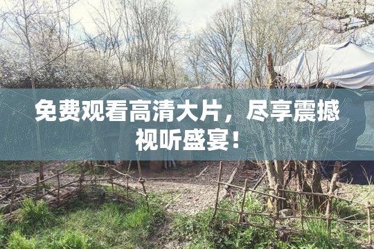 免费观看高清大片，尽享震撼视听盛宴！