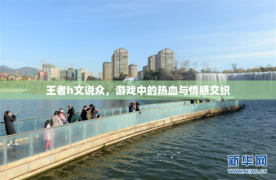 王者h文说众，游戏中的热血与情感交织