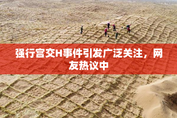 强行宫交H事件引发广泛关注，网友热议中