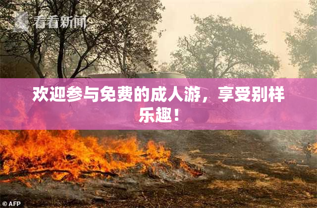 欢迎参与免费的成人游，享受别样乐趣！
