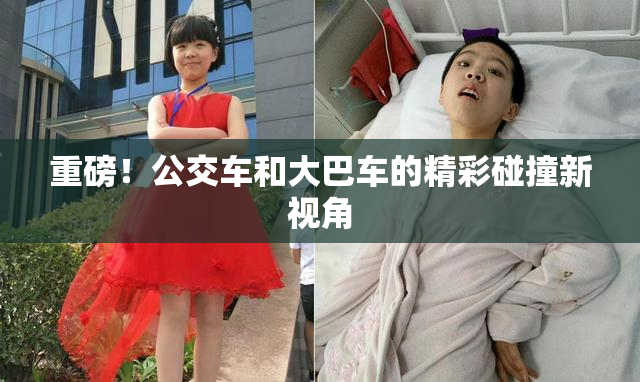 重磅！公交车和大巴车的精彩碰撞新视角