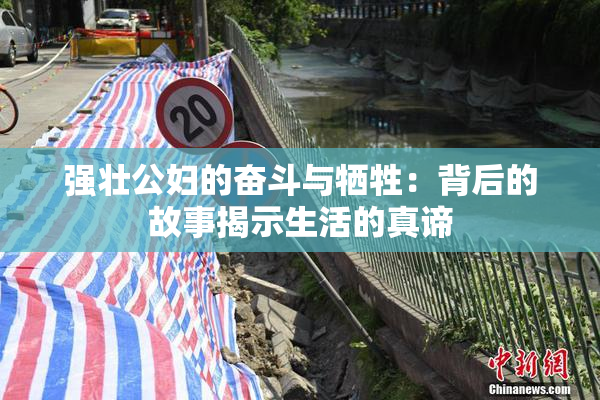 强壮公妇的奋斗与牺牲：背后的故事揭示生活的真谛