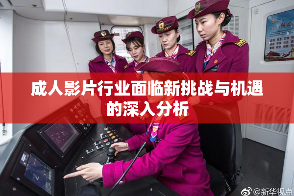 成人影片行业面临新挑战与机遇的深入分析