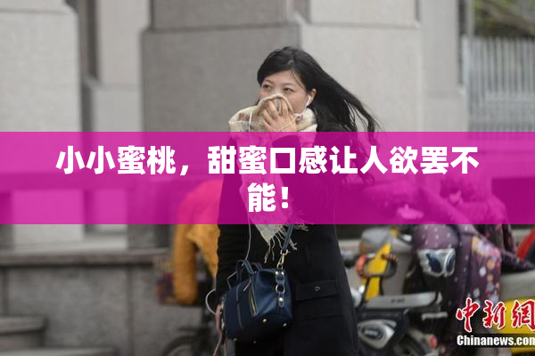 小小蜜桃，甜蜜口感让人欲罢不能！