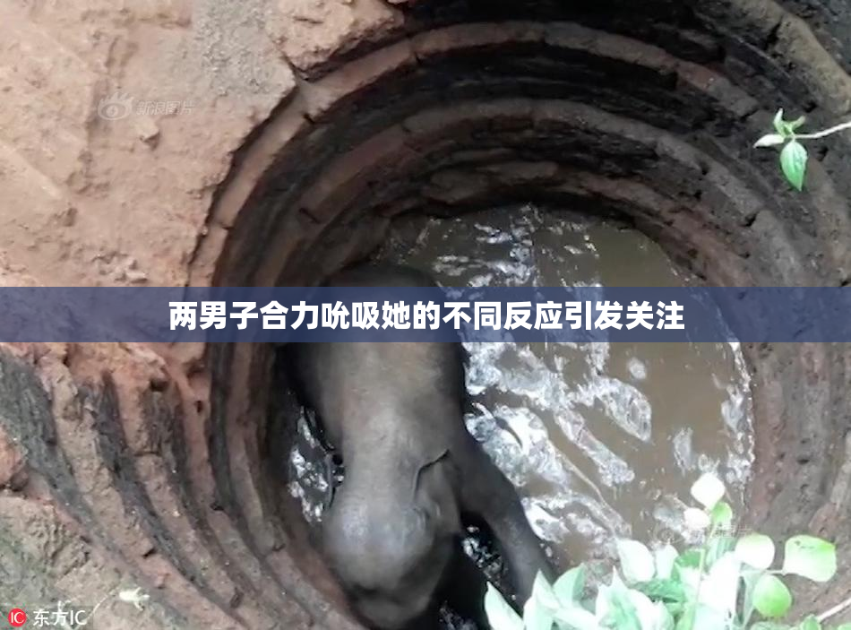 两男子合力吮吸她的不同反应引发关注
