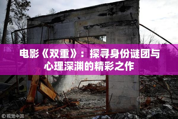 电影《双重》：探寻身份谜团与心理深渊的精彩之作