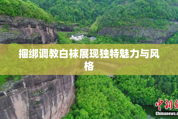 捆绑调教白袜展现独特魅力与风格