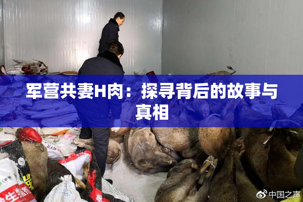 军营共妻H肉：探寻背后的故事与真相