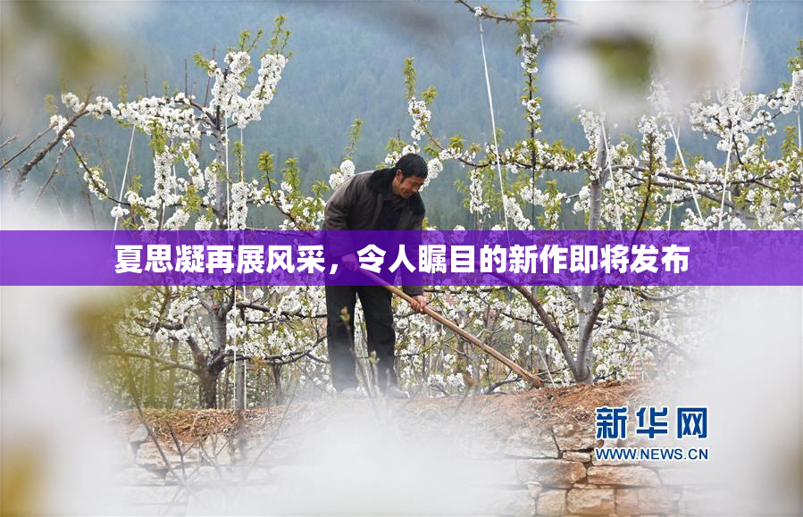 夏思凝再展风采，令人瞩目的新作即将发布