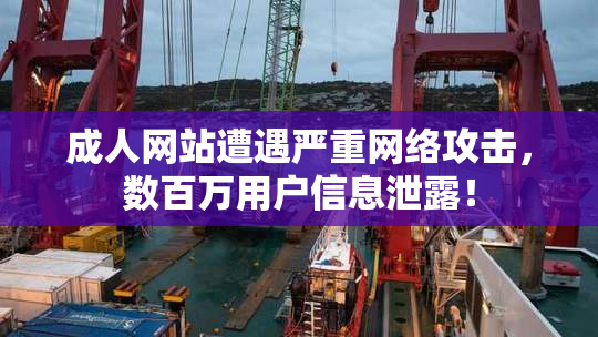 成人网站遭遇严重网络攻击，数百万用户信息泄露！