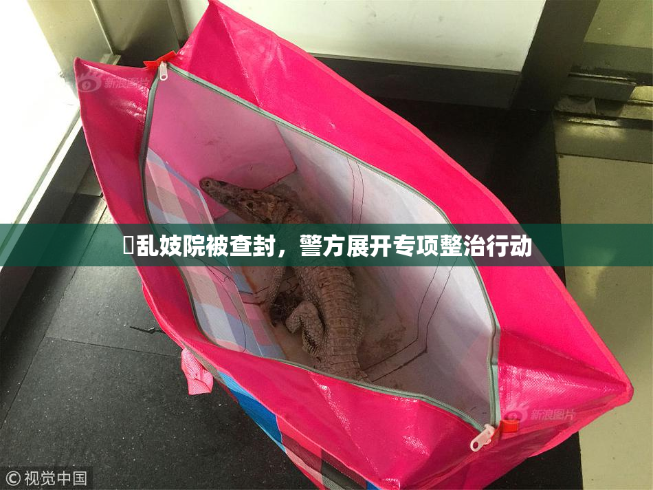 婬乱妓院被查封，警方展开专项整治行动