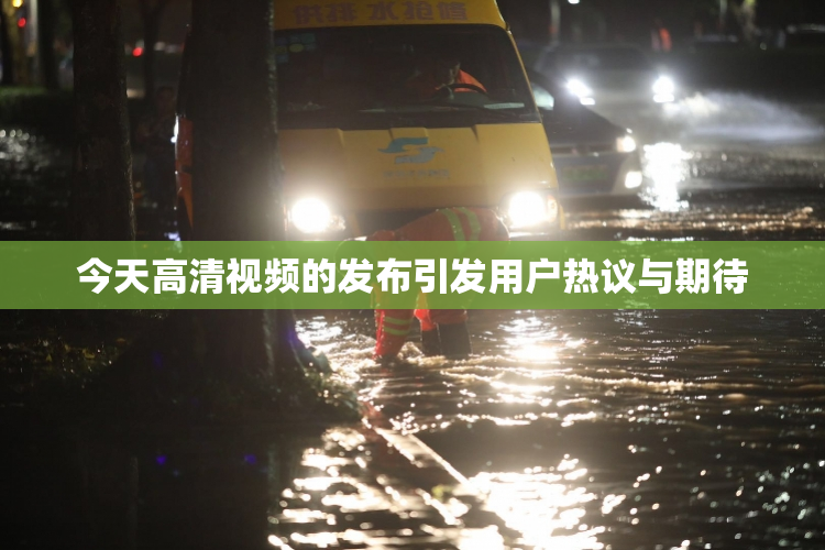 今天高清视频的发布引发用户热议与期待