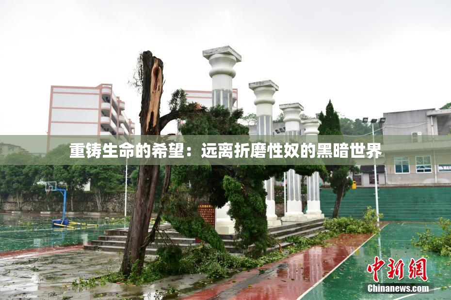 重铸生命的希望：远离折磨性奴的黑暗世界