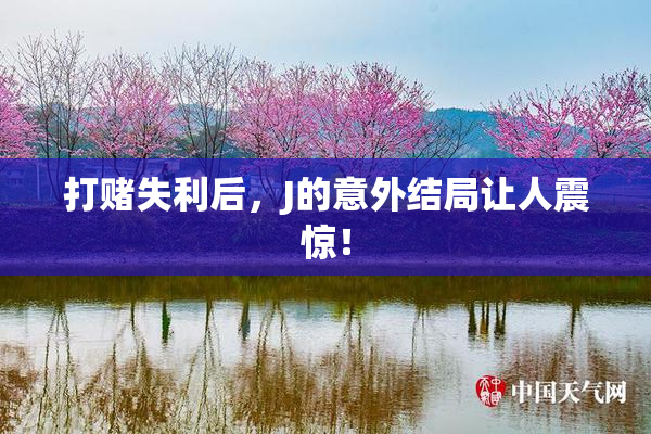 打赌失利后，J的意外结局让人震惊！