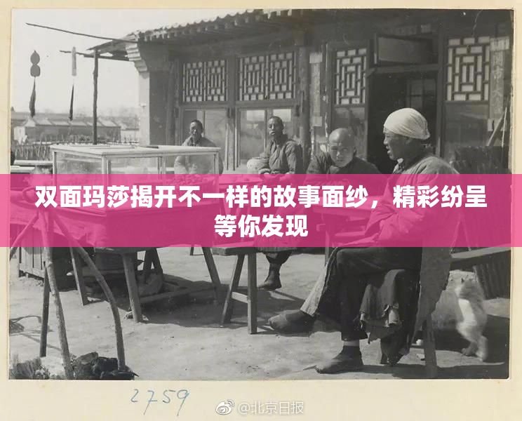 双面玛莎揭开不一样的故事面纱，精彩纷呈等你发现