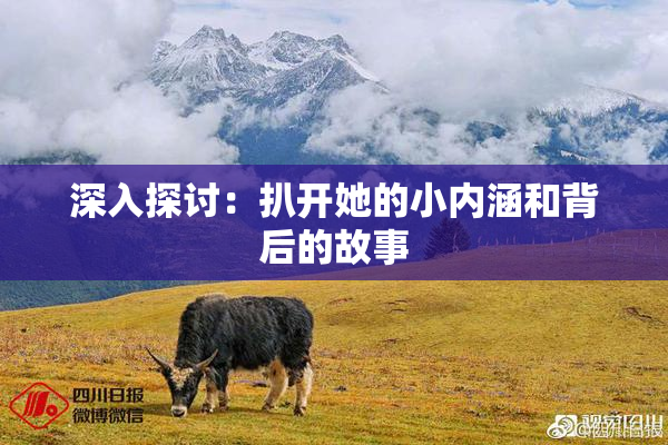 深入探讨：扒开她的小内涵和背后的故事