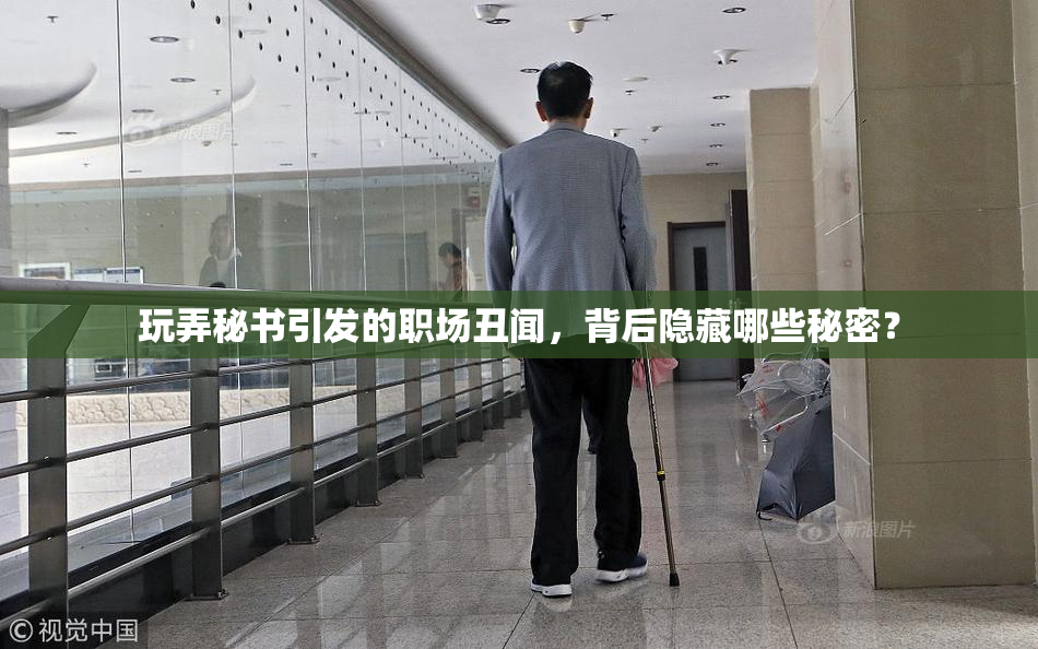 玩弄秘书引发的职场丑闻，背后隐藏哪些秘密？