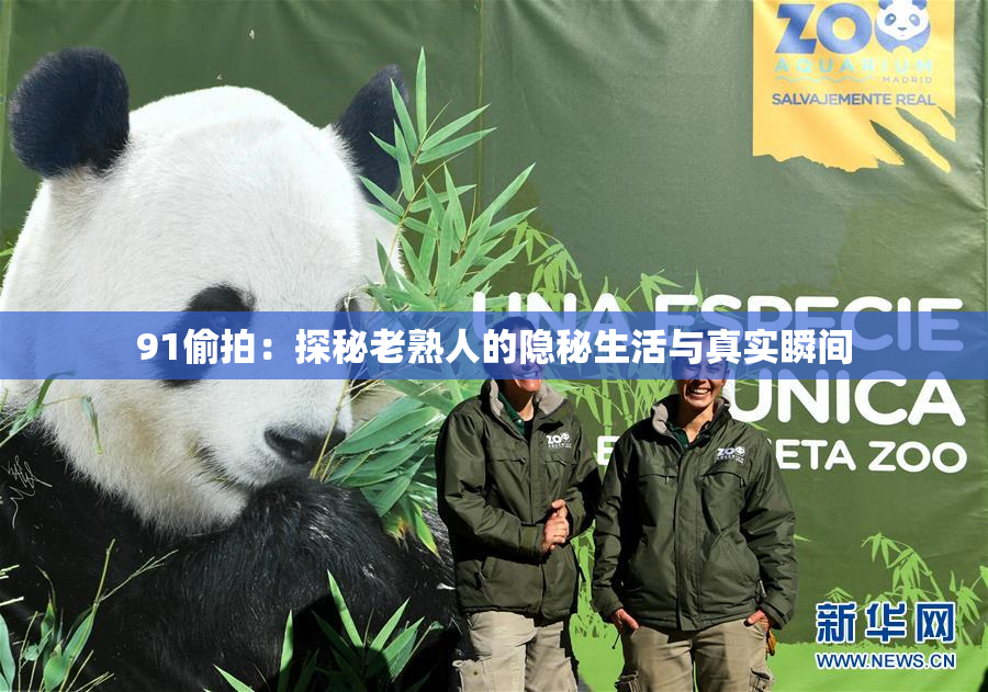 91偷拍：探秘老熟人的隐秘生活与真实瞬间
