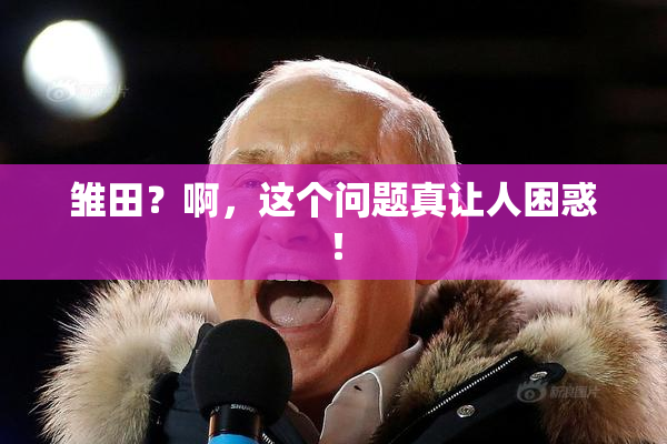 雏田？啊，这个问题真让人困惑！