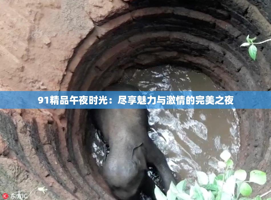 91精品午夜时光：尽享魅力与激情的完美之夜