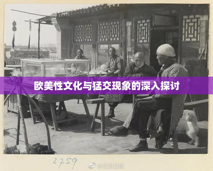 欧美性文化与猛交现象的深入探讨