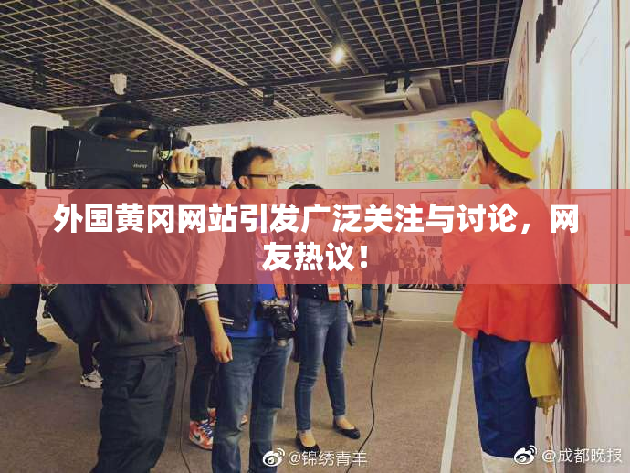外国黄冈网站引发广泛关注与讨论，网友热议！