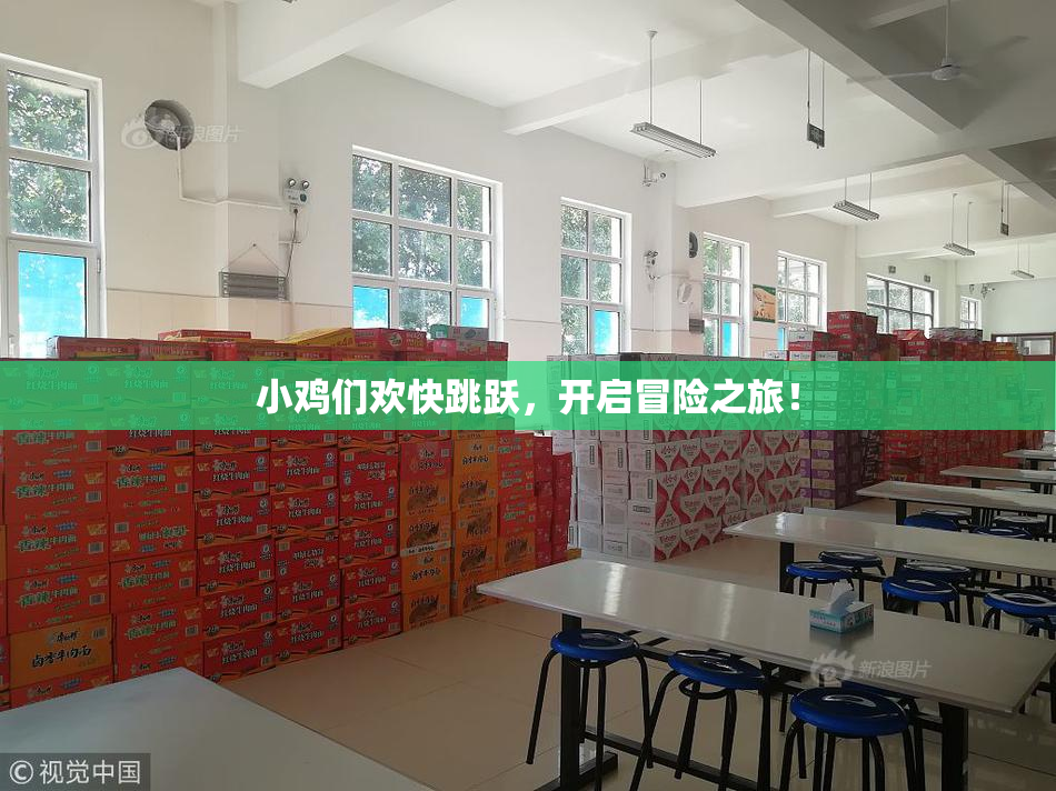 小鸡们欢快跳跃，开启冒险之旅！