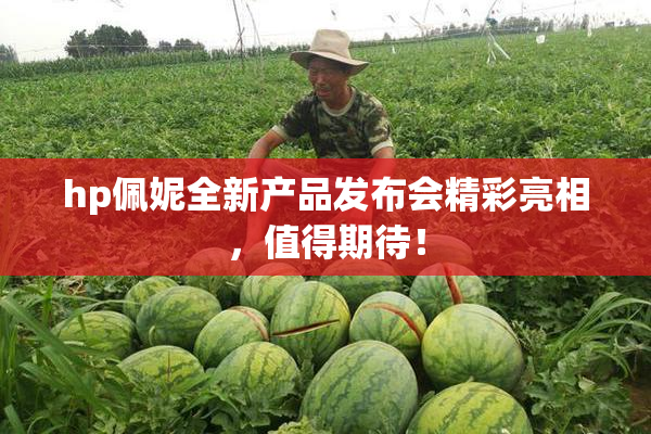 hp佩妮全新产品发布会精彩亮相，值得期待！