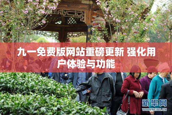 九一免费版网站重磅更新 强化用户体验与功能