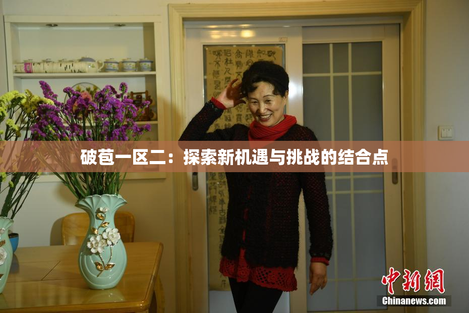 破苞一区二：探索新机遇与挑战的结合点