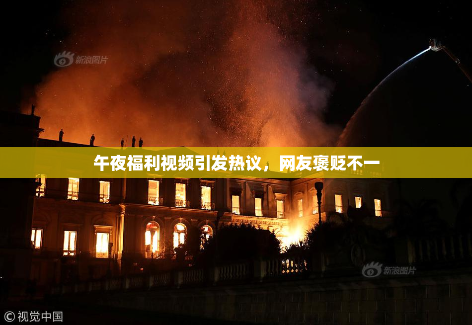 午夜福利视频引发热议，网友褒贬不一