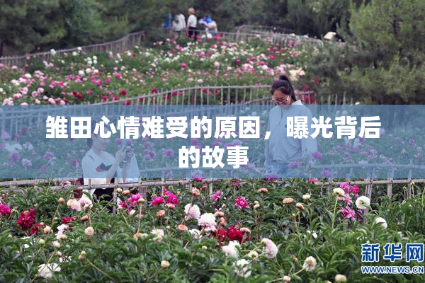 雏田心情难受的原因，曝光背后的故事