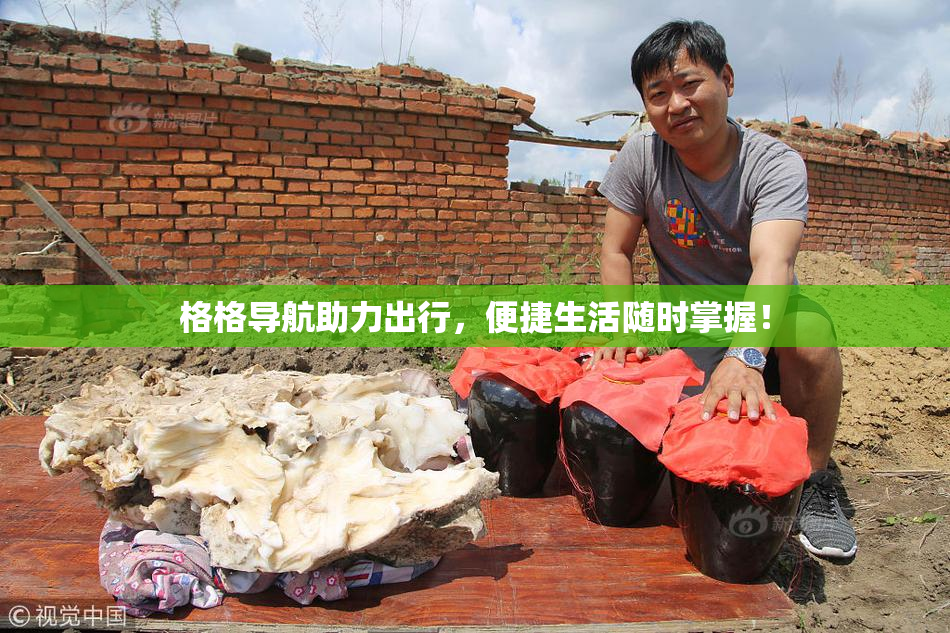 格格导航助力出行，便捷生活随时掌握！