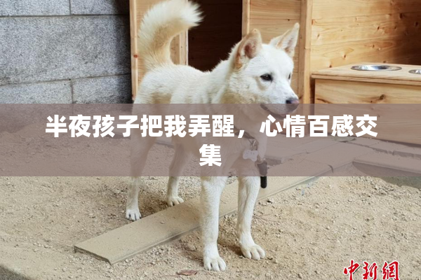 半夜孩子把我弄醒，心情百感交集