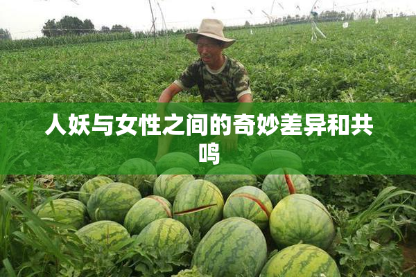 人妖与女性之间的奇妙差异和共鸣