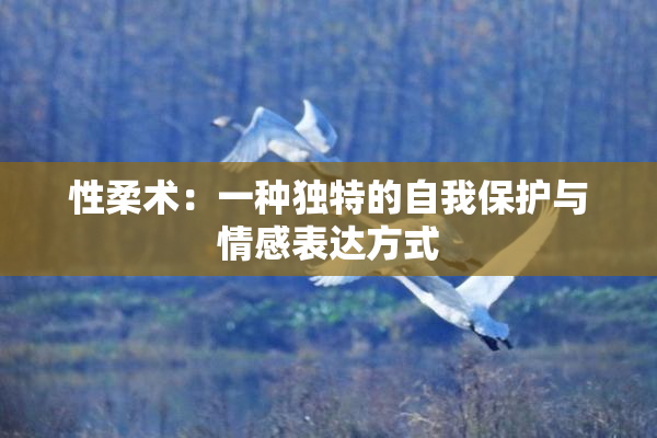 性柔术：一种独特的自我保护与情感表达方式